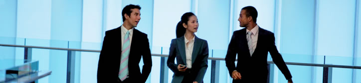 Management Team