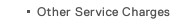 Other Service Charges